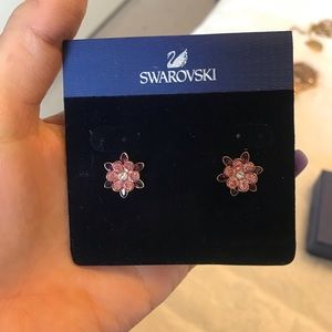 Swarovski Cinderella rose gold plated earrings